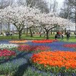 keukenhof